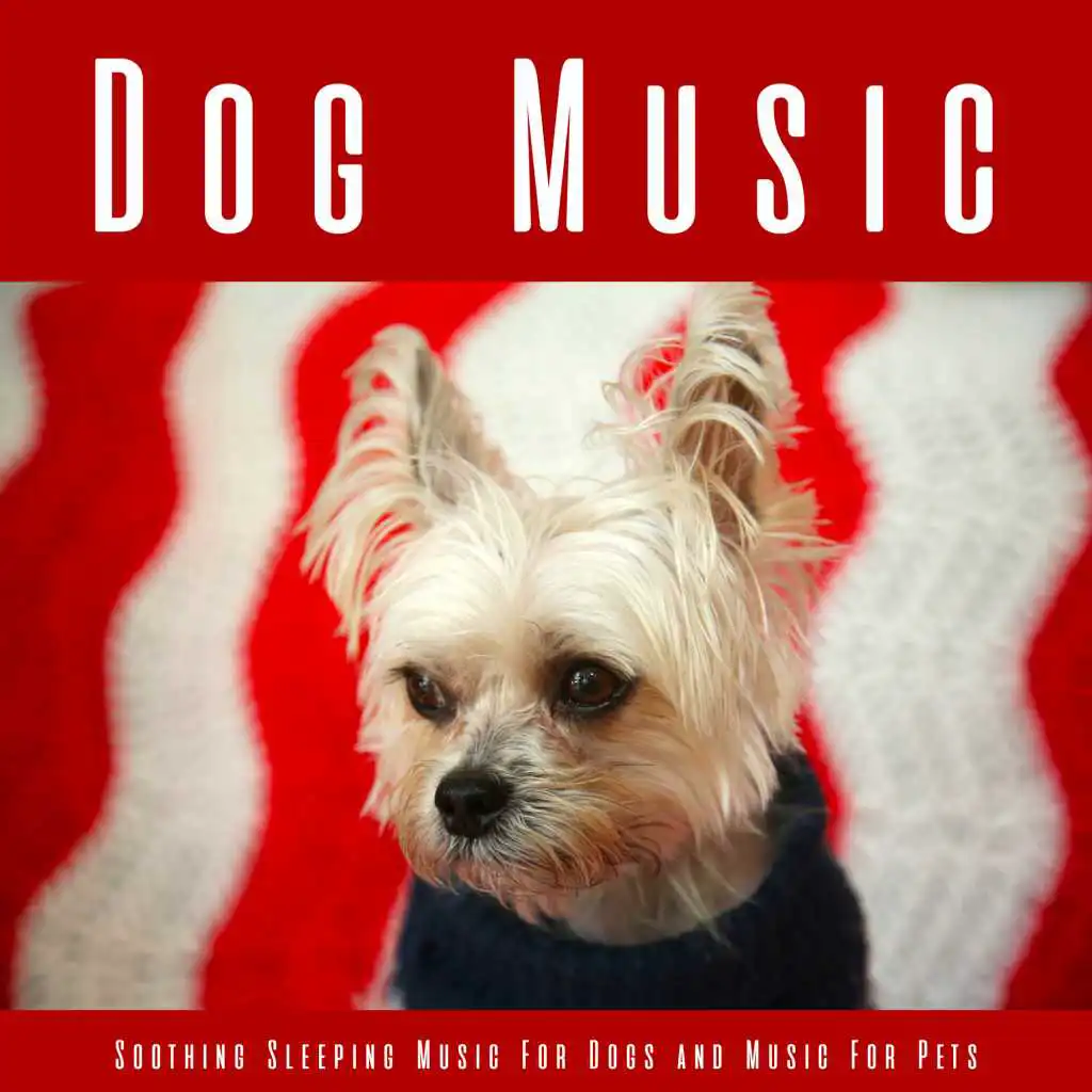 Dog Music: Soothing Sleeping Music For Dogs and Music For Pets