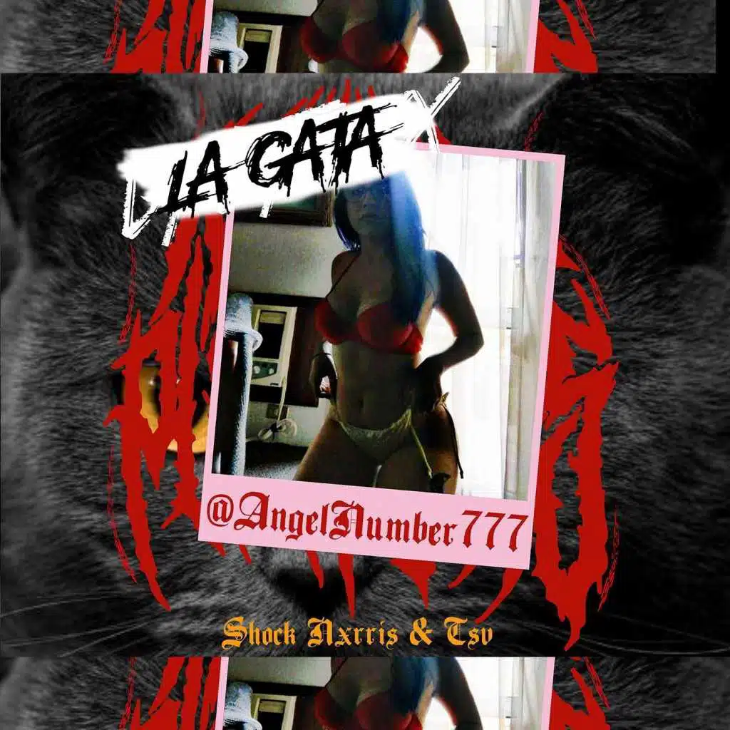 La Gata