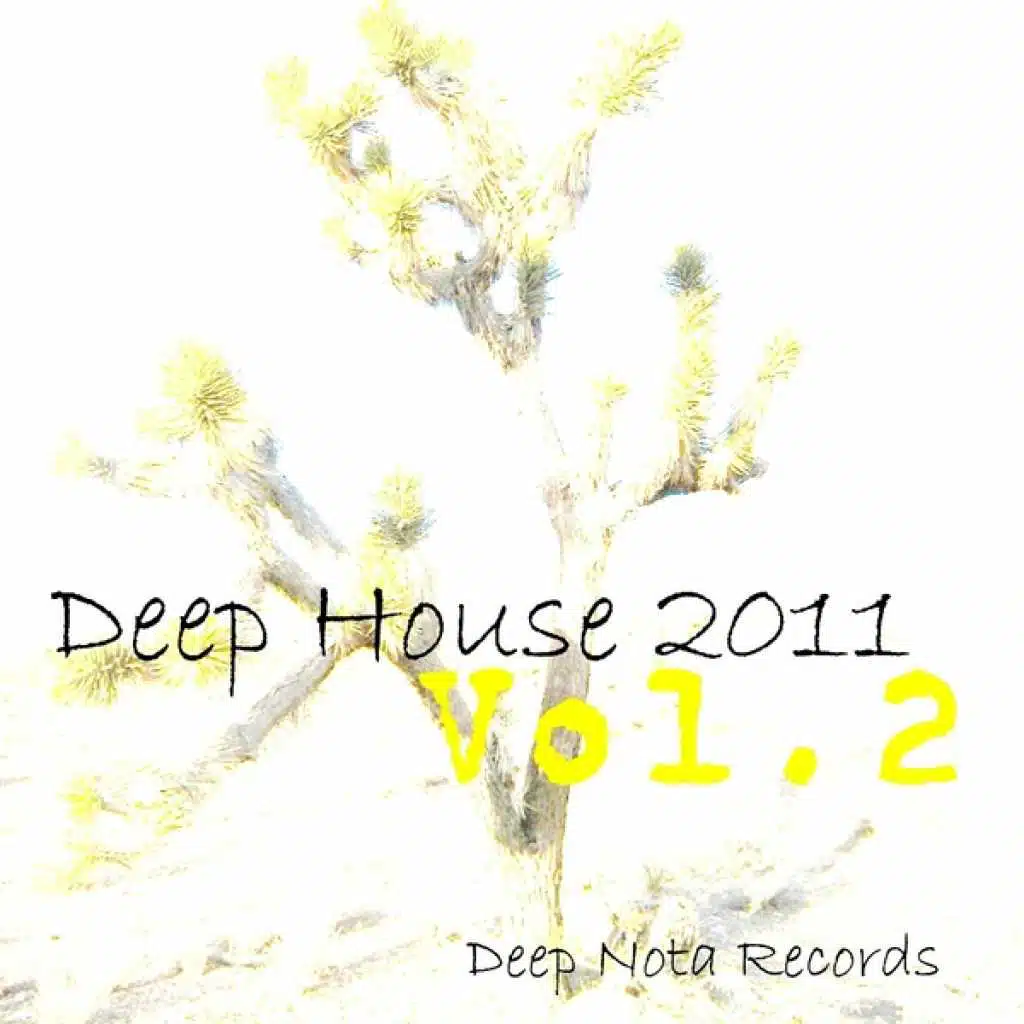 Deep House 2011 - Vol.2