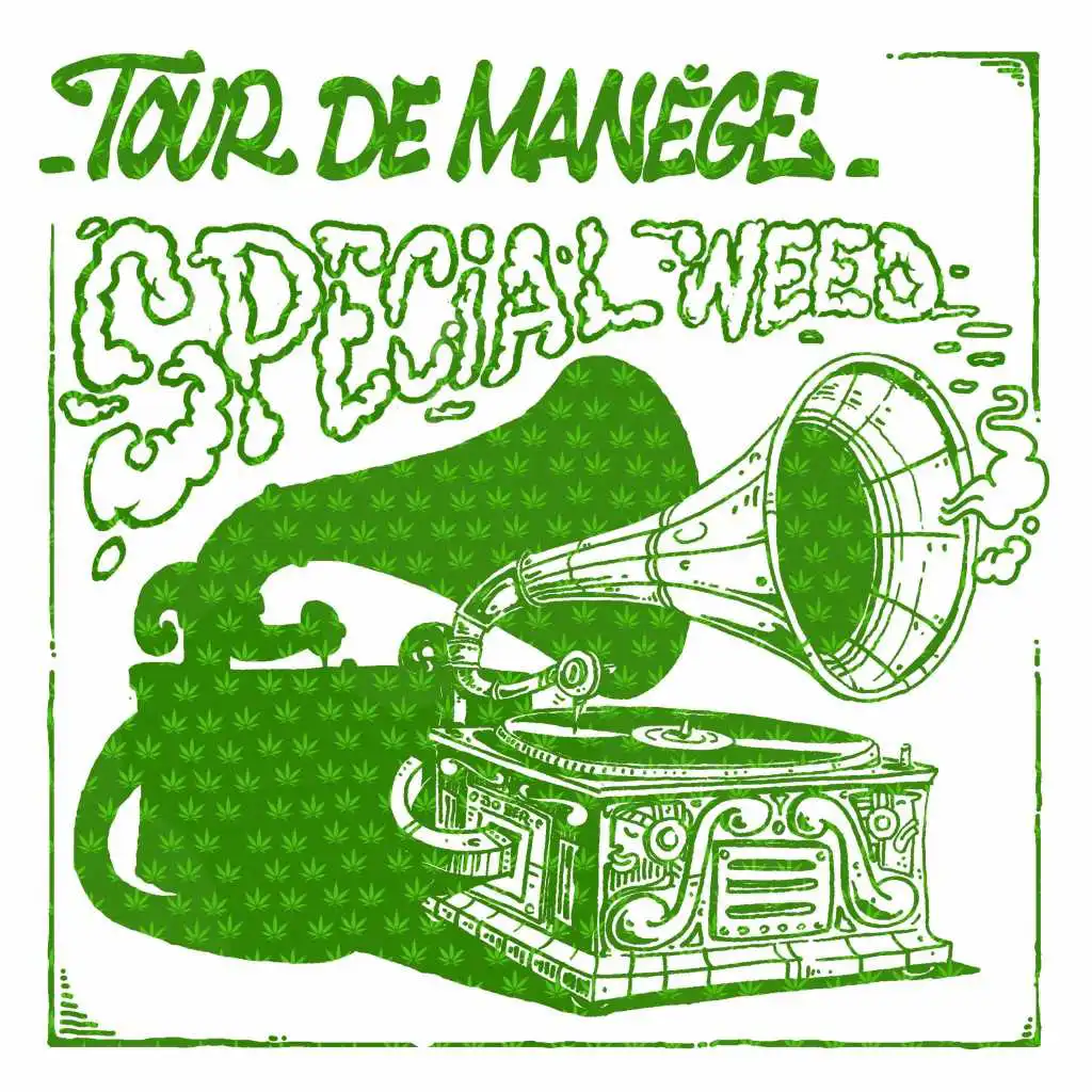 Turtle Master & Tour De Manège