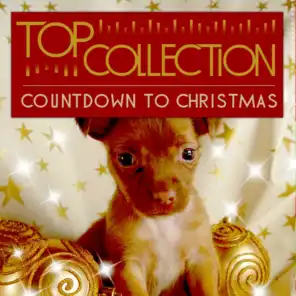 Top Collection: Countdown to Christmas