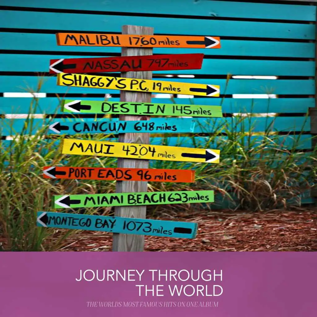 Journey Through the World