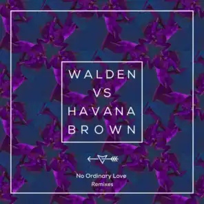 No Ordinary Love (Walden's Festival Mix)