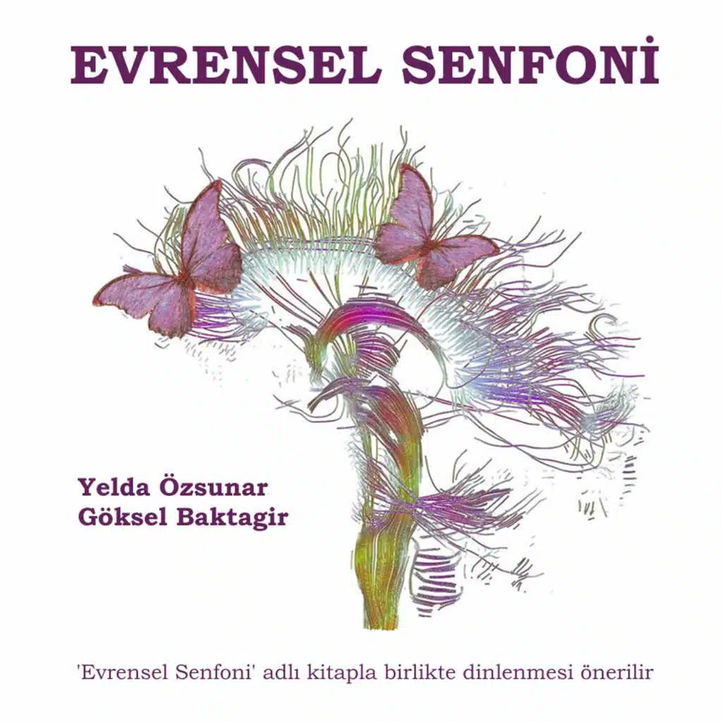 Evrensel Senfoni