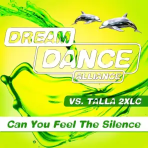 Can You Feel the Silence (Tom & Dexx Remix)