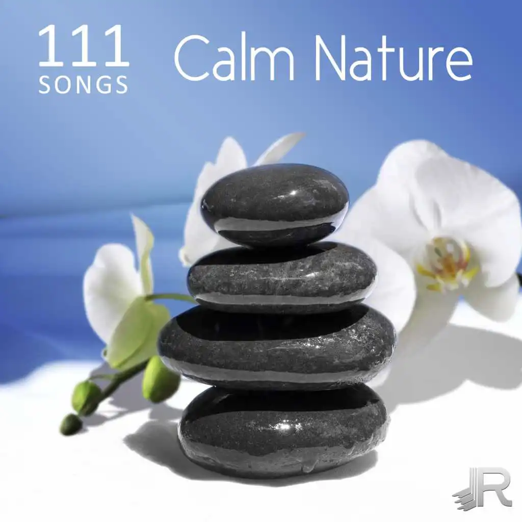 111 Songs Calm Nature, Relaxing Ocean Waves - Deep Zen Meditation Music with Vibrational Healing, Ambient Sleep Music, Massage, Yoga and Spa