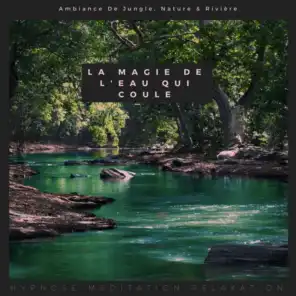 La Magie De L'eau Qui Coule (Ambiance De Jungle, Nature & Rivière)