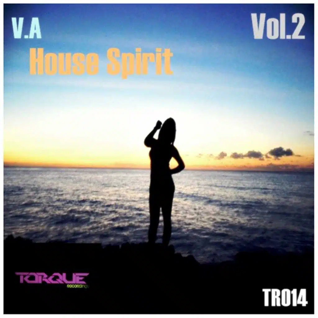House Spirit Vol.2