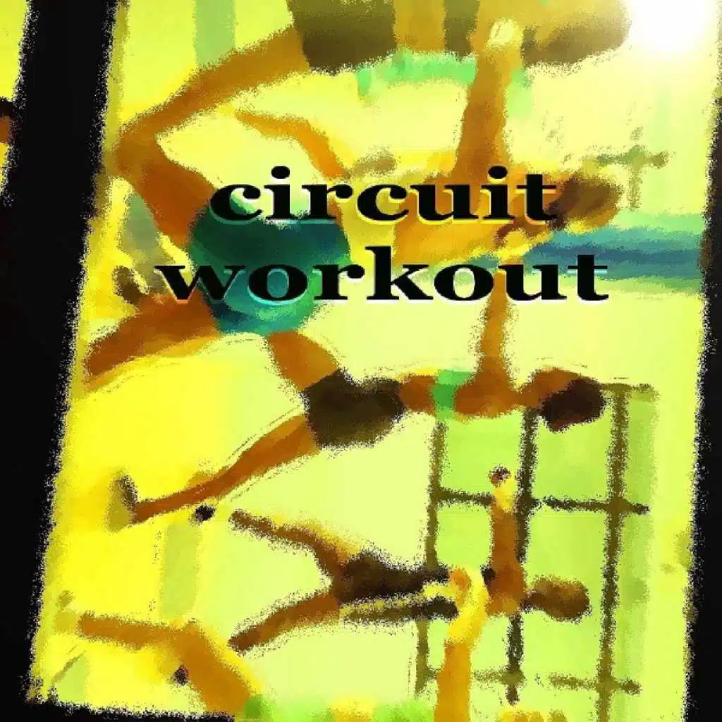 Circuit Workout