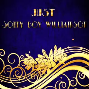 Just Sonny Boy Williamson