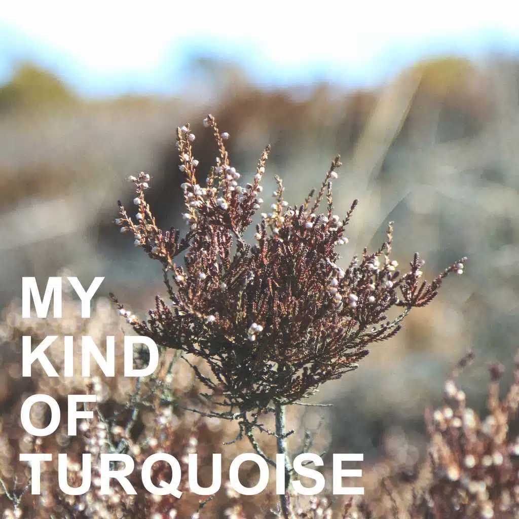 My Kind of Turquoise