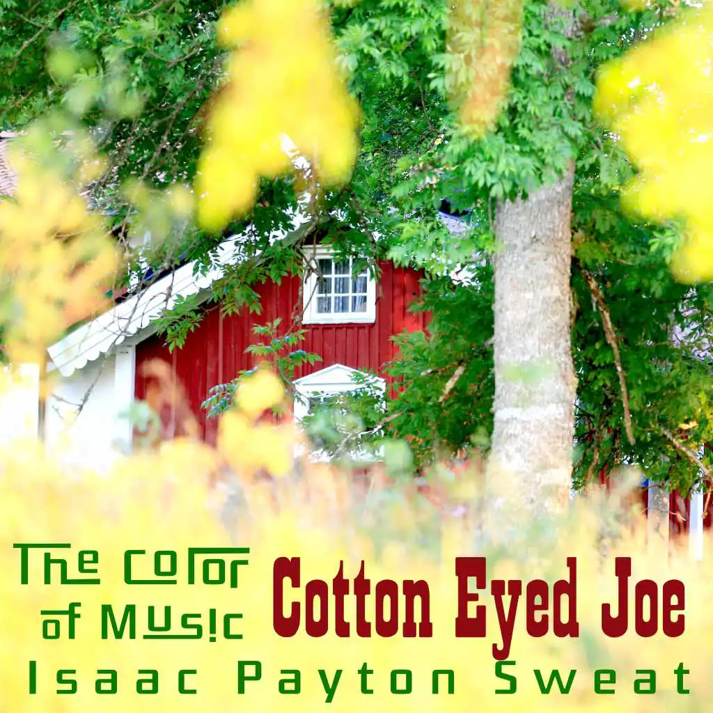 The Color of Music: Cotton Eyed Joe