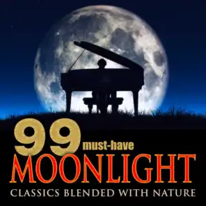 Midnight Lake & Piano Sonata No. 14 in C-Sharp Minor, Op. 27 No. 2 "Moonlight Sonata": I. Adagio sostenuto