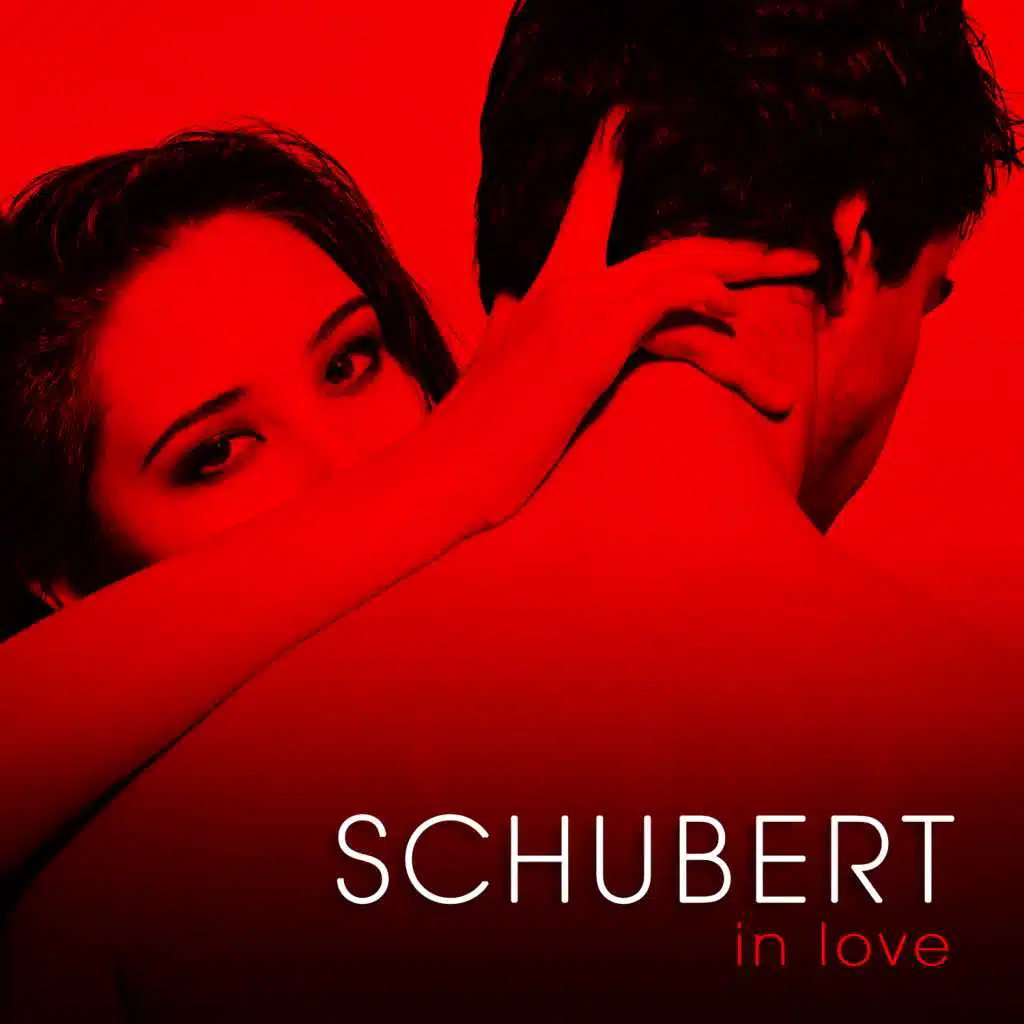 Schwanengesang, D. 957: No. 4, Ständchen