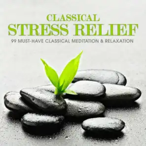 Classical Stress Relief: 99 Must-Have Classical Meditation & Relaxation