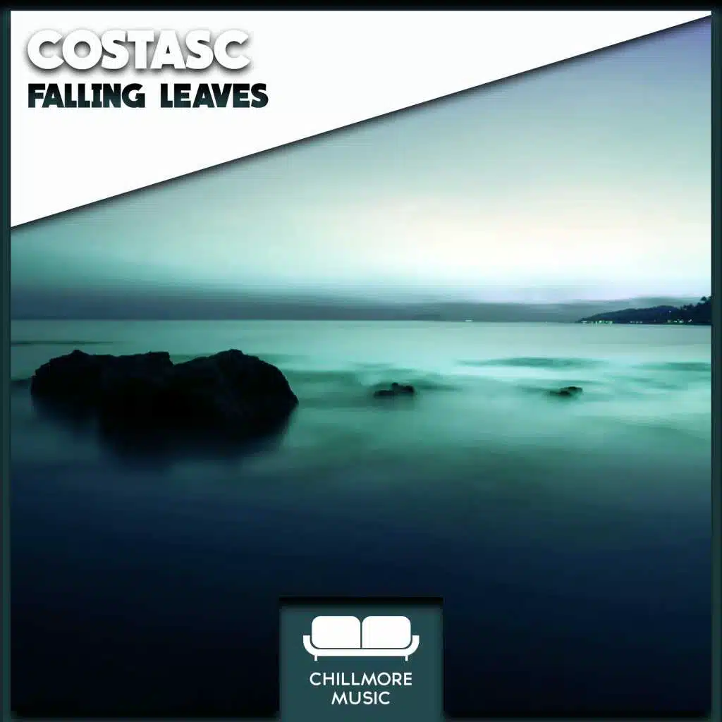 The Wonderings Of An Idea