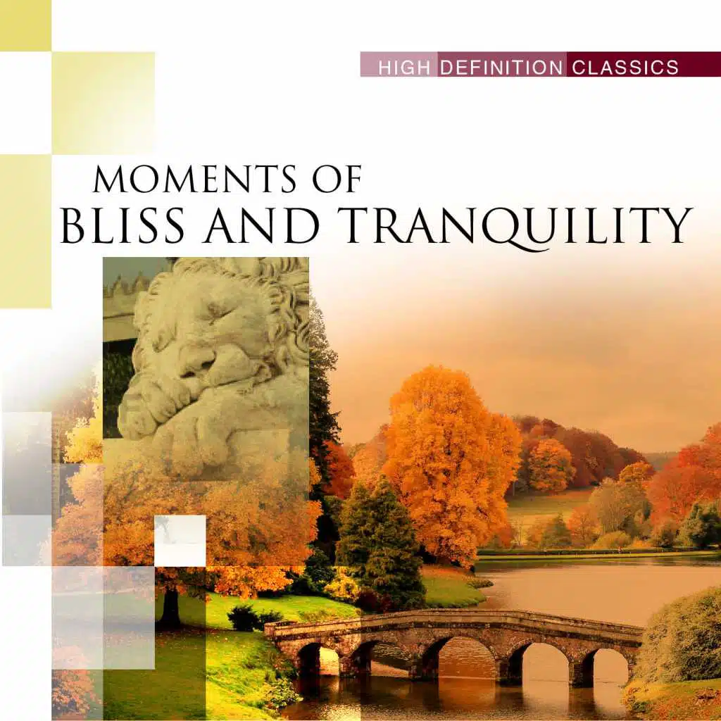 Moments of Bliss and Tranquility