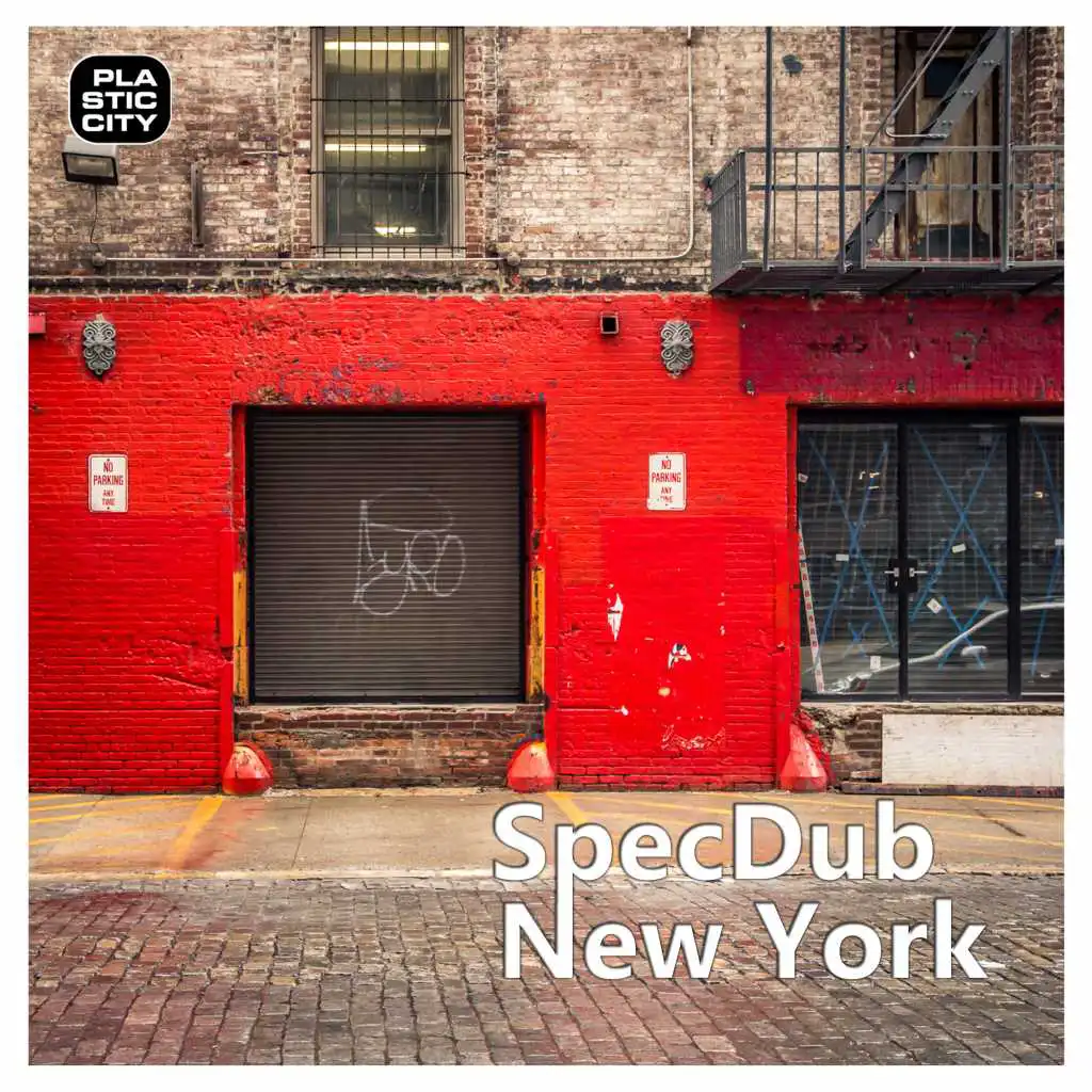 New York (Terry Lee Brown Junior Remix)