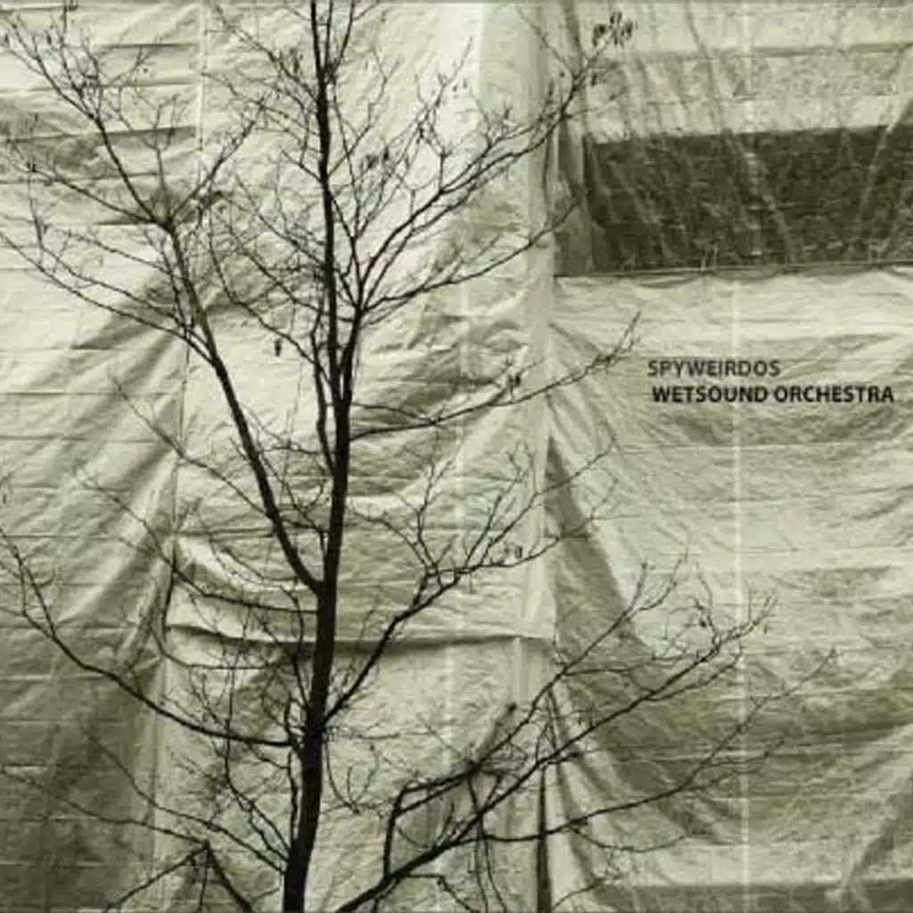 Wetsound Orchestra Remixes