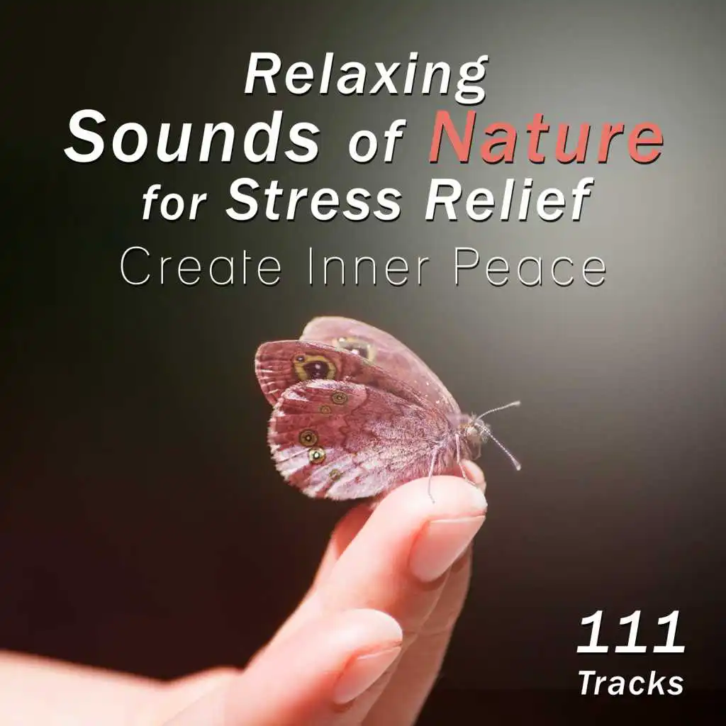 New Age Healing Waves (Serenity Piano)