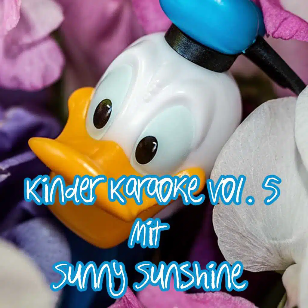 Rock Island Line (Karaoke Version) [Originally Performed By Sunny Sunshine]