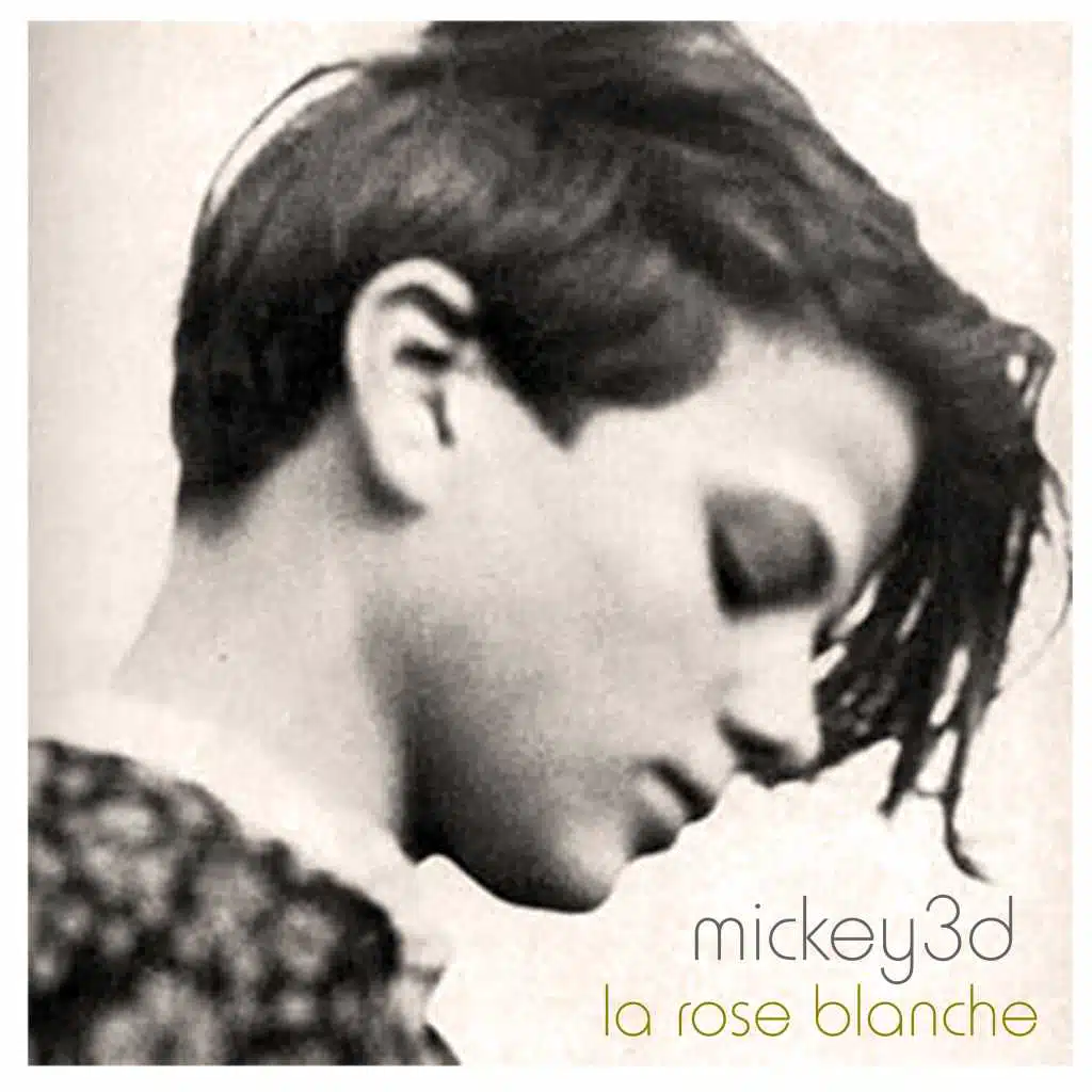 La Rose blanche