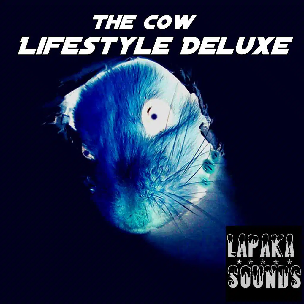Lifestyle Deluxe