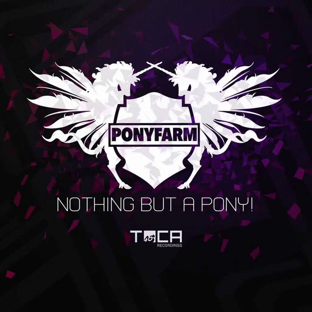 Nothing But a Pony