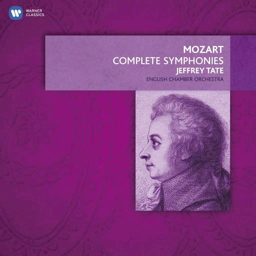 Symphony No. 25 in G Minor, K. 183: I. Allegro con brio
