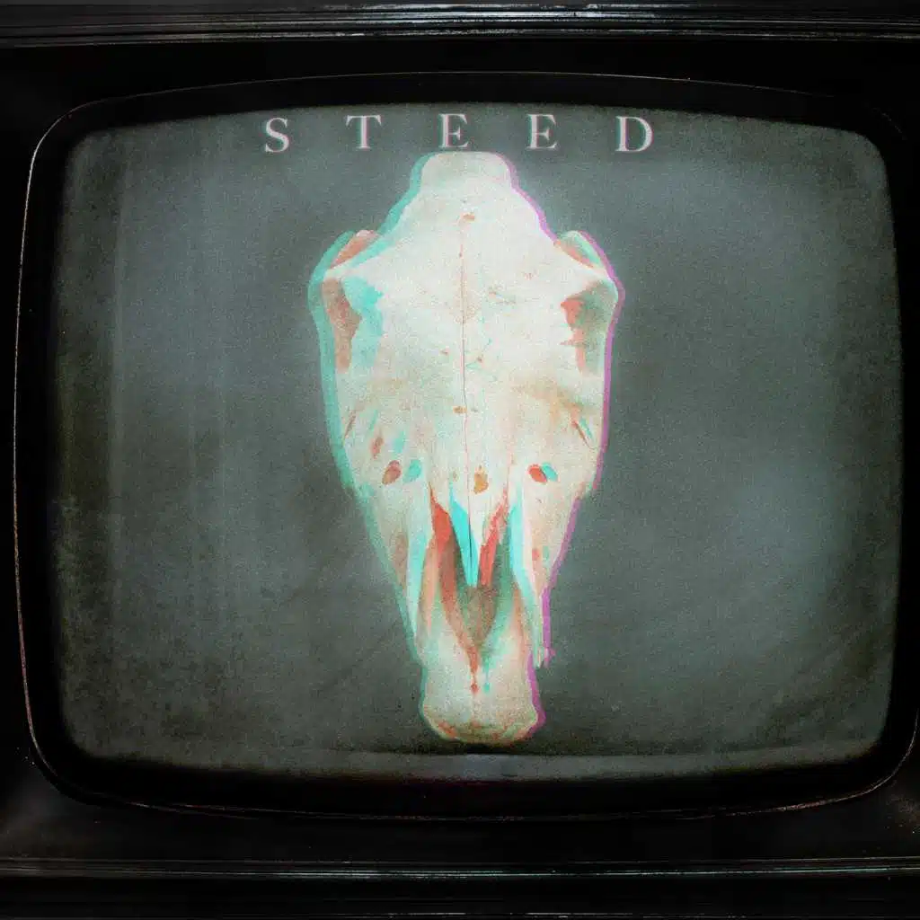 Steed