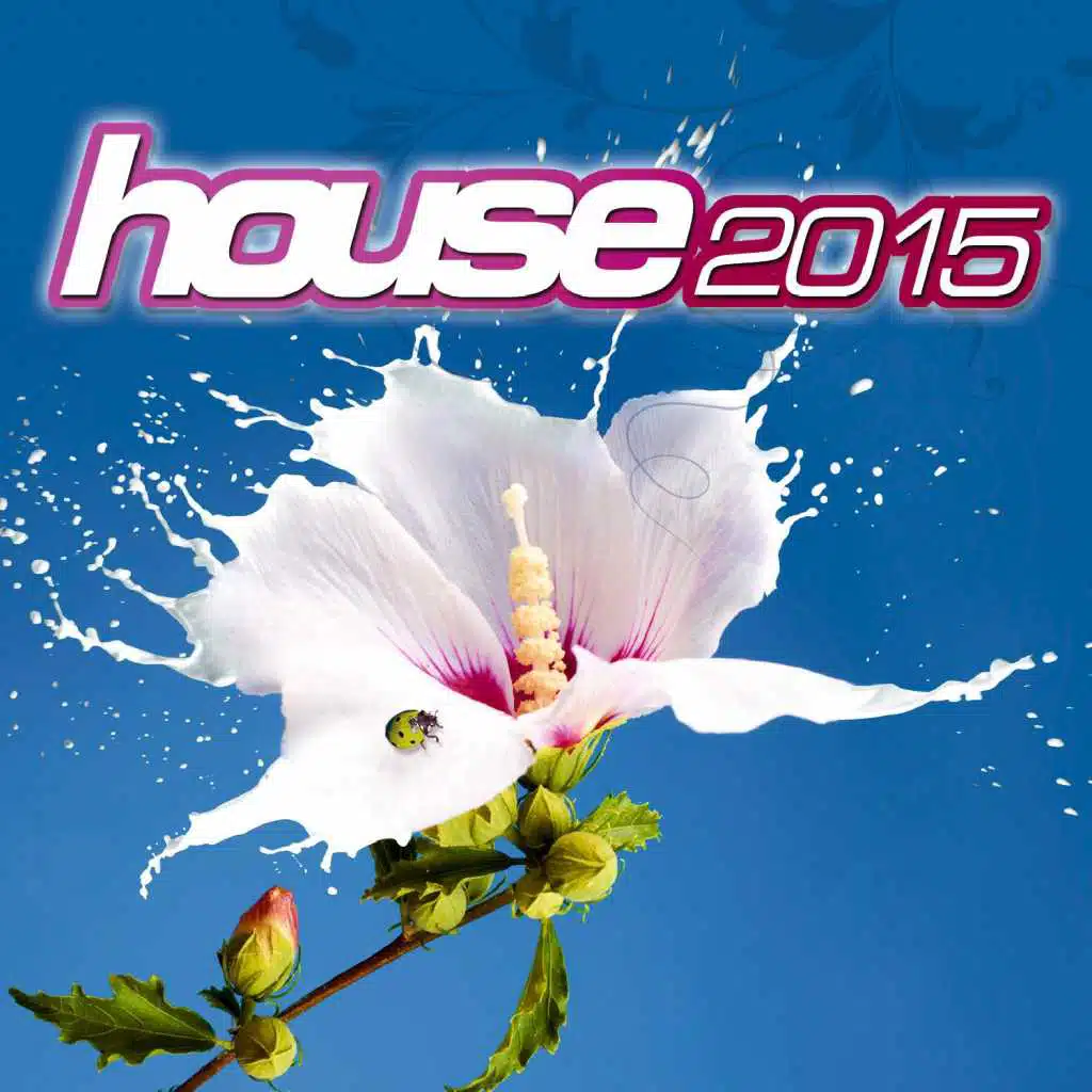 House 2015