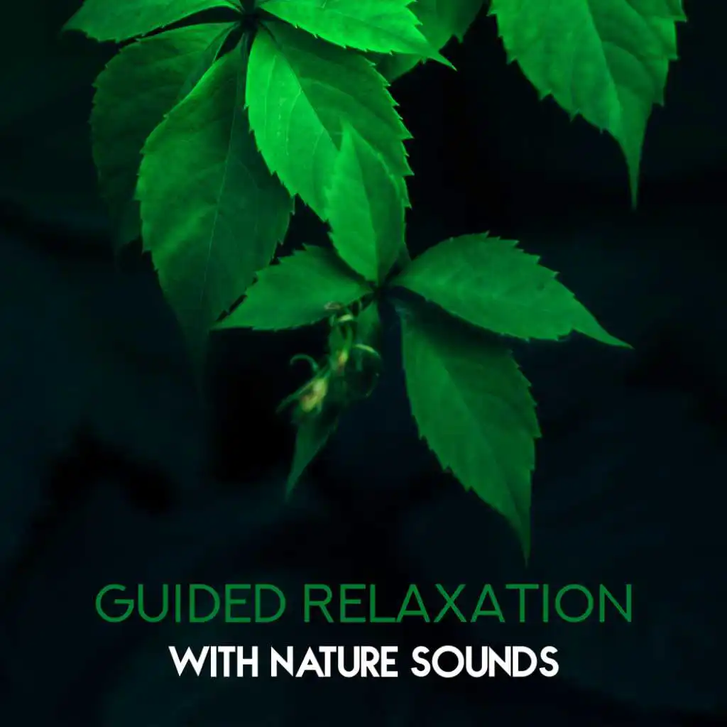 Garden Noise & Relaxation