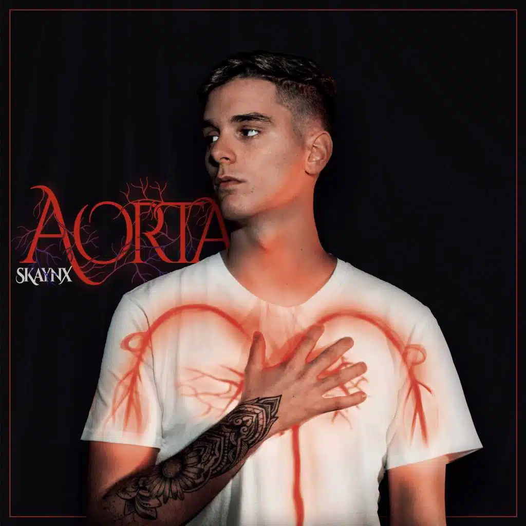 Aorta