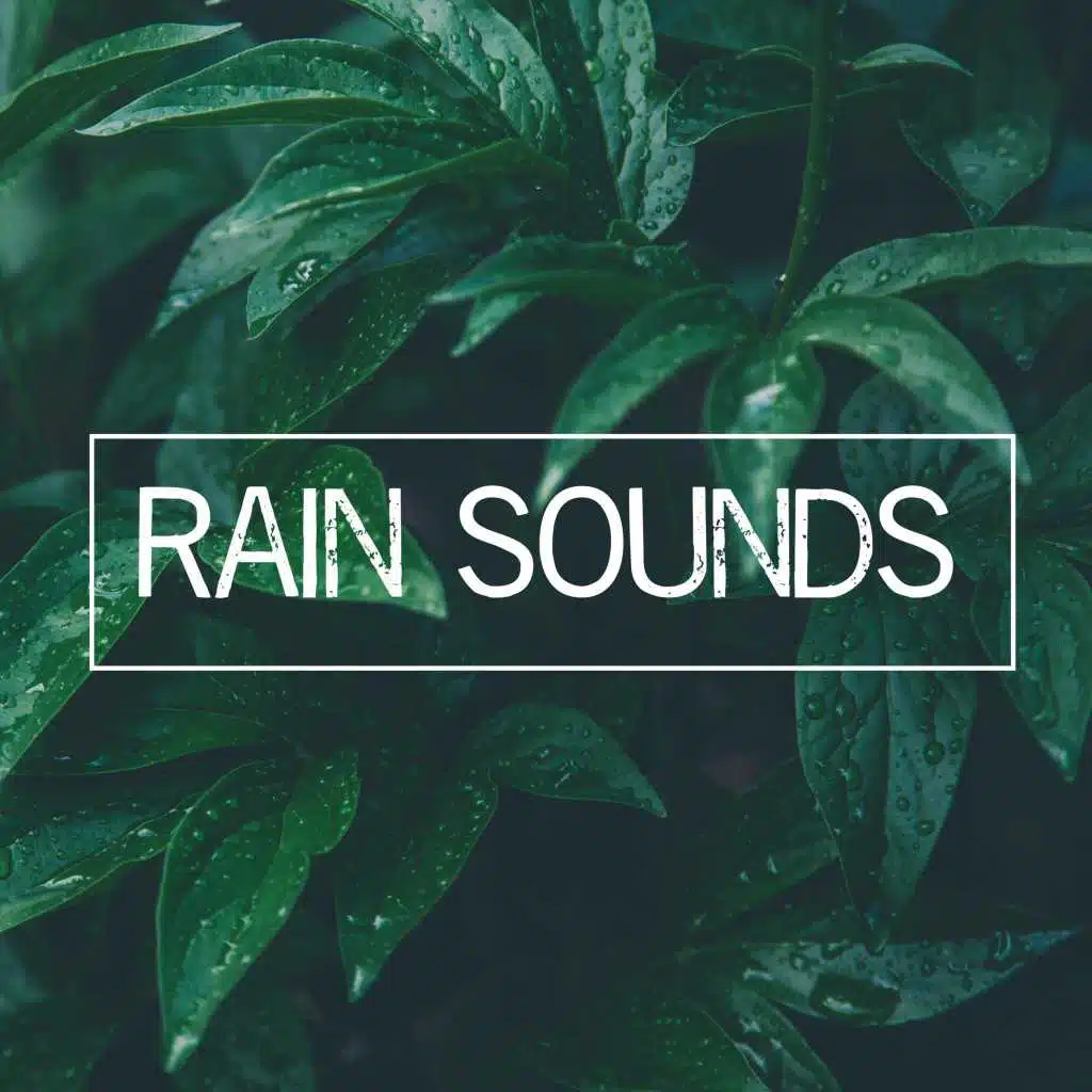 Pure Rain
