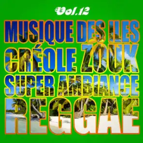 Musiques Des Îles: Créole, Ambiance, Zouk, Reggae, Vol. 12
