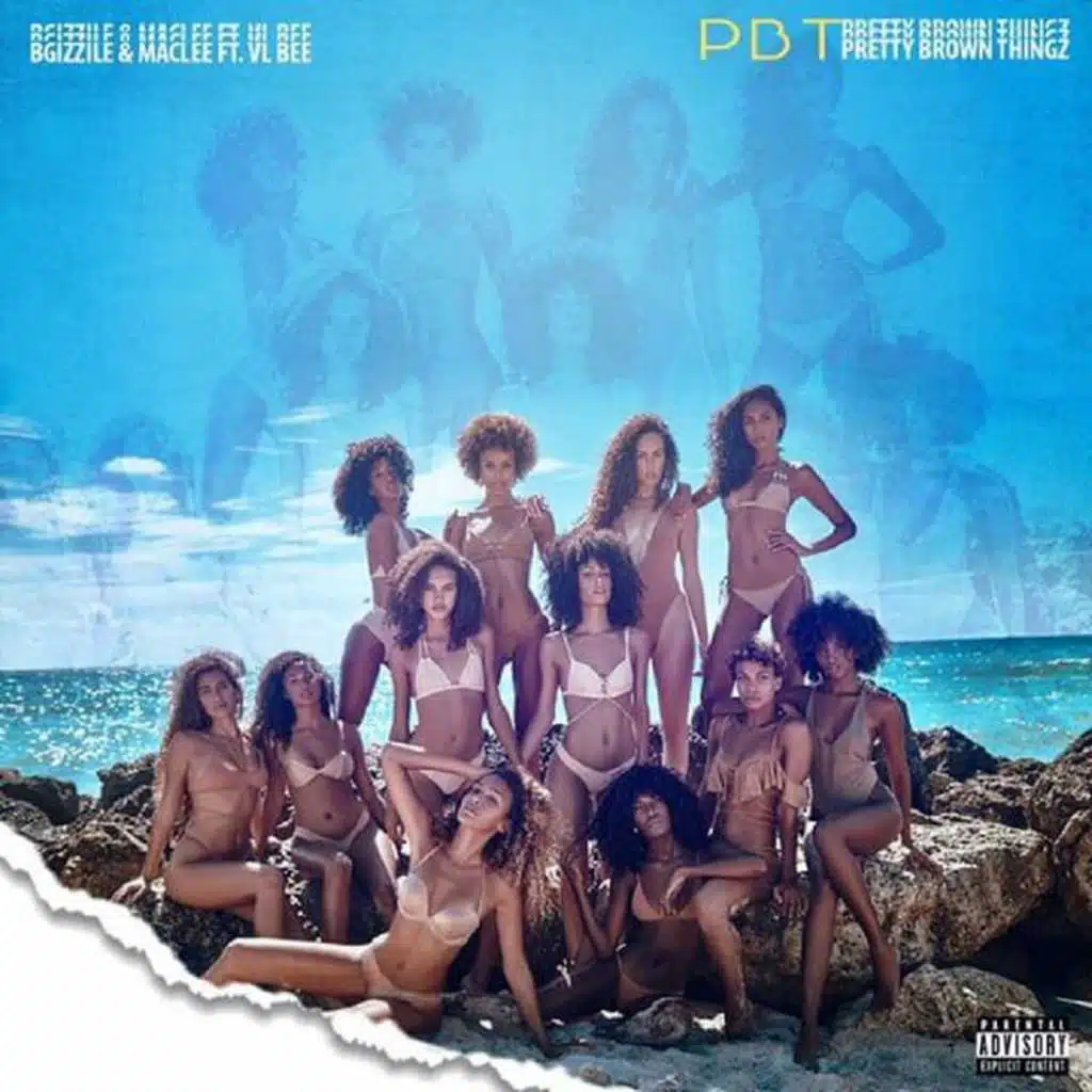 PBT (Pretty Brown Thingz) [feat. VL BEE]