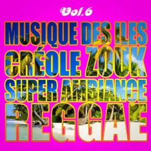 Musiques Des Îles: Créole, Ambiance, Zouk, Reggae, Vol. 6