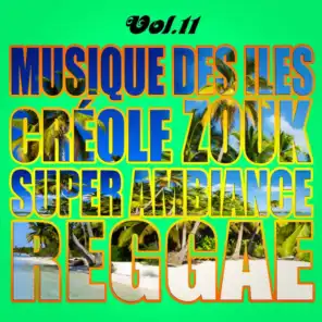 Musiques des îles : créole, ambiance, zouk, reggae, vol. 11
