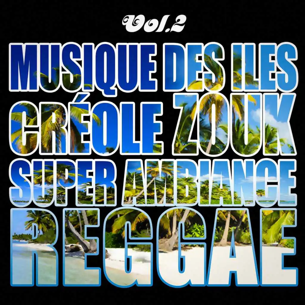 Musiques des îles : créole, ambiance, zouk, reggae, vol. 2