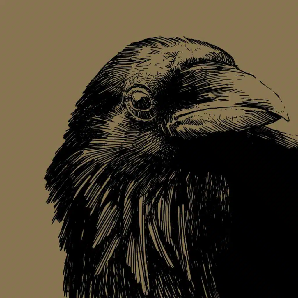 When You Show True Emotions (digi only)