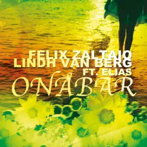 Onåbar (Radio Version) [feat. Elias]