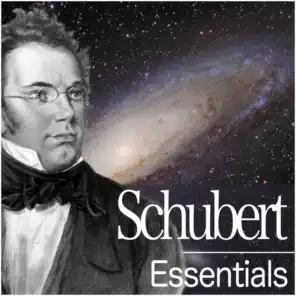Schubert Essentials