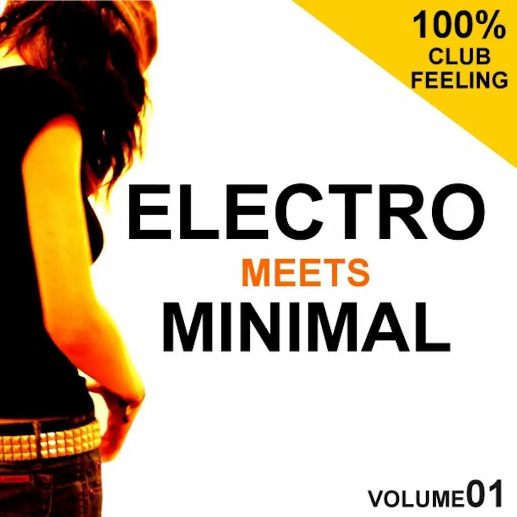 Electro Meets Minimal, Vol. 1