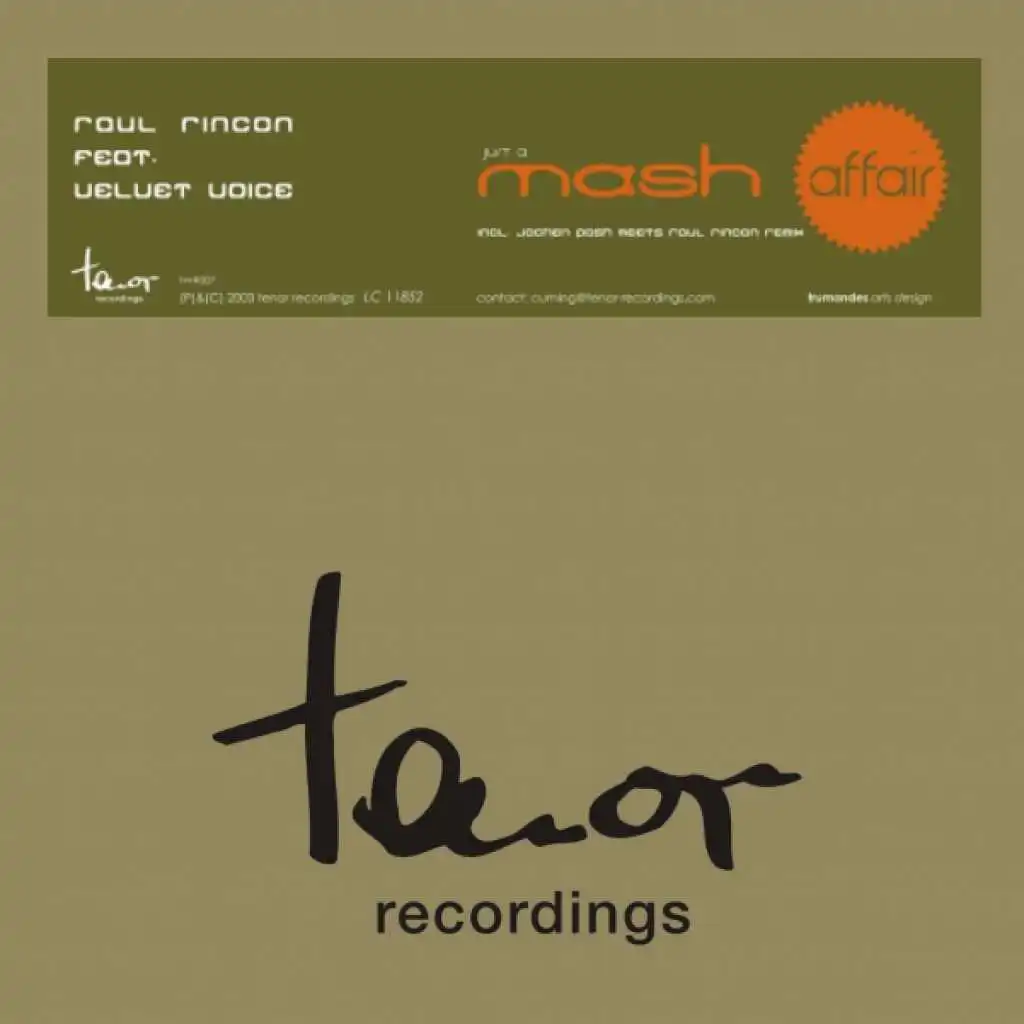 Just a Mash Affair (Jochen Pash Meets Raul Rincon Remix) [feat. Velvet Voice]