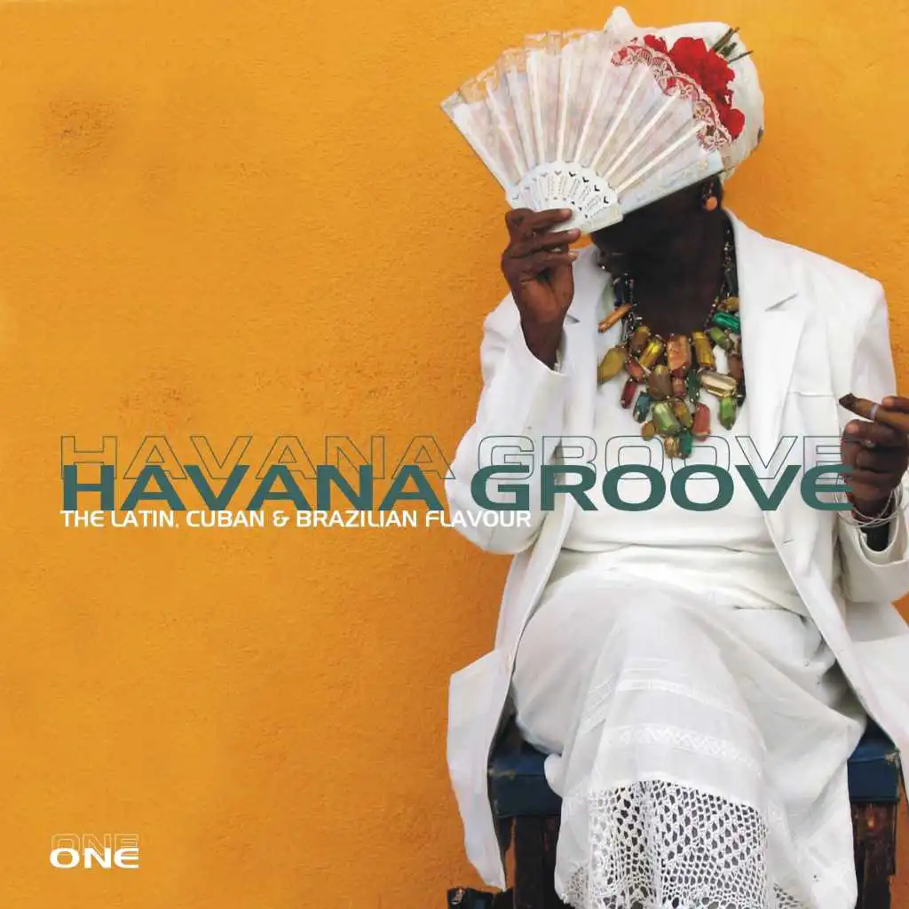 Havana Groove Vol. 1 - The Latin, Cuban & Brazilian Flavour
