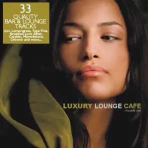 Luxury Lounge Cafe Vol. 1 - 33 Quality Bar & Lounge Tracks