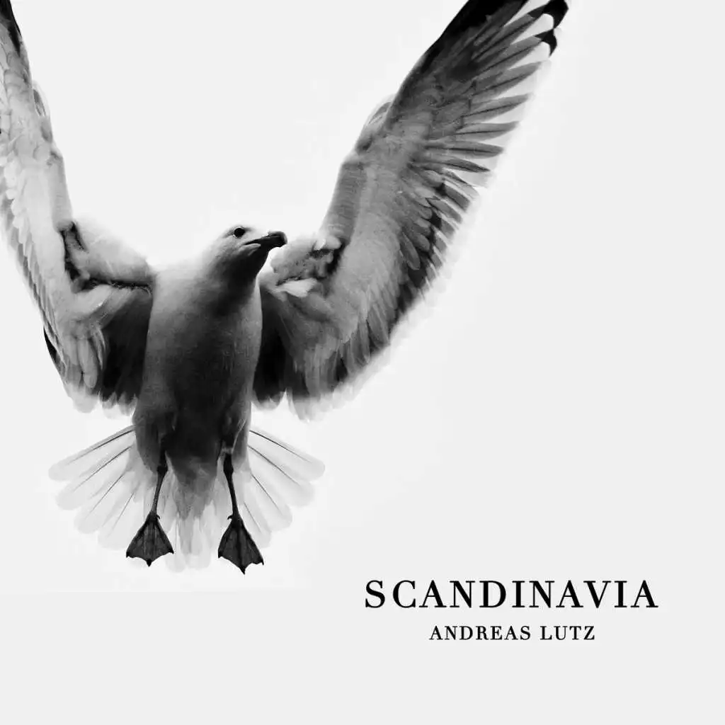 Scandinavia (Analog Dust Volito Remix)