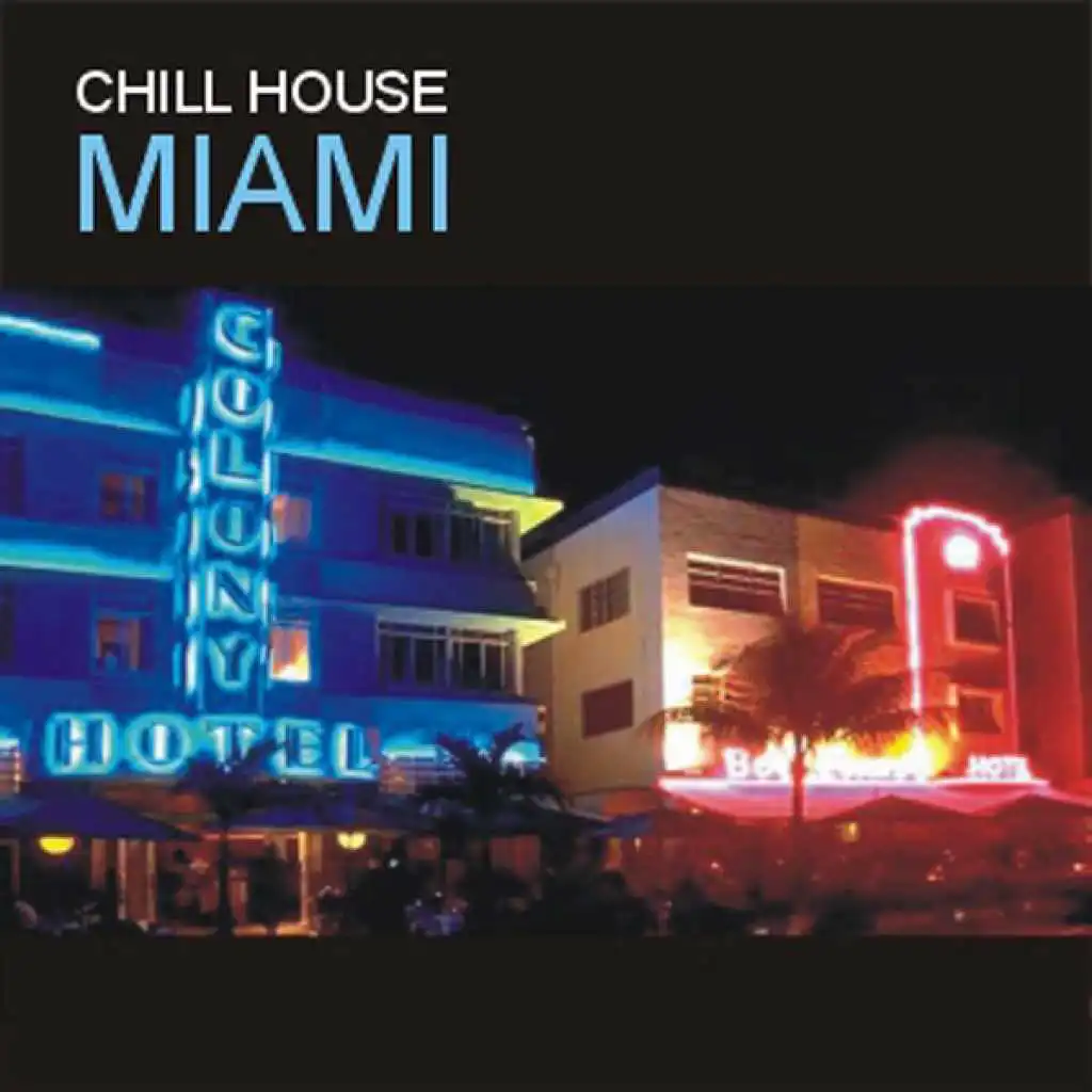 Chill House In Miami