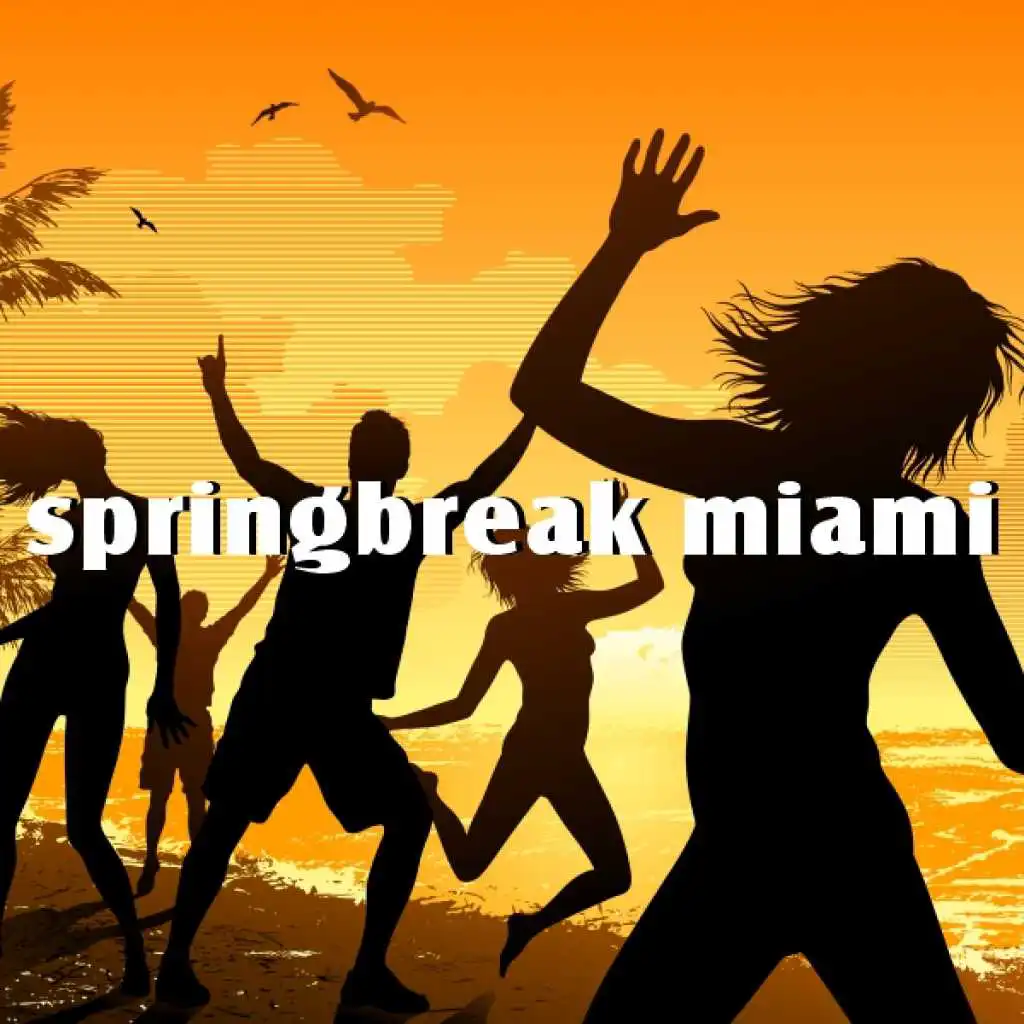 Springbreak Miami