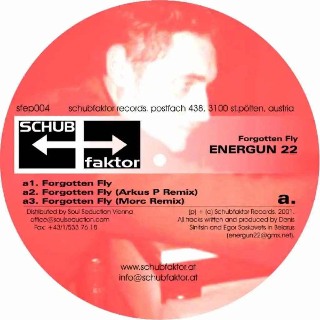 Forgotten Fly (Arkus P. Remix)